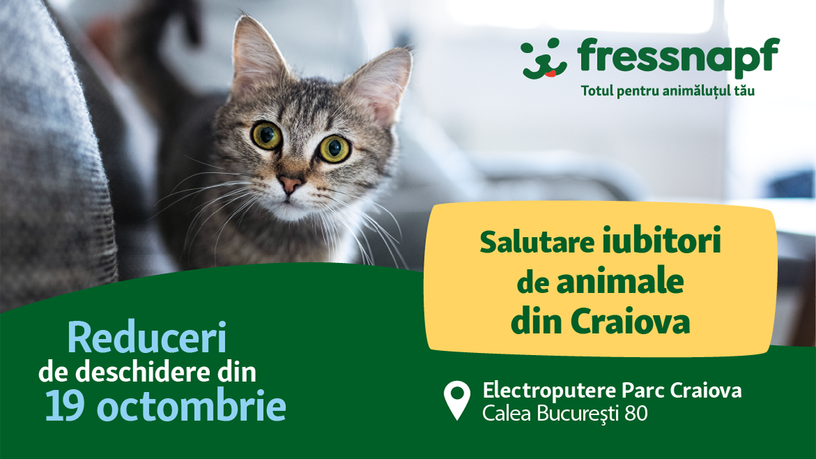 Deschidem în curând!