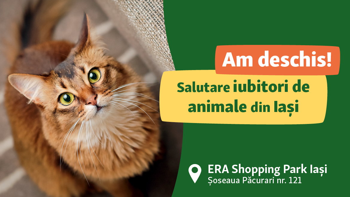 Hello Iași, am deschis!